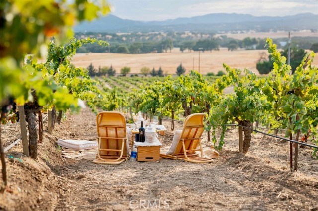 7110 Drake Road, Paso Robles CA: https://media.crmls.org/medias/6f00d014-3a4f-46d0-96b8-a812459a903e.jpg