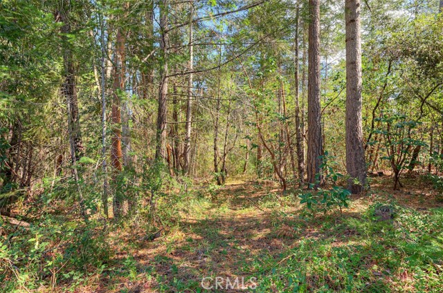 Detail Gallery Image 46 of 52 For 712 Bloomer Hill, Berry Creek,  CA 95916 - 2 Beds | 1/1 Baths