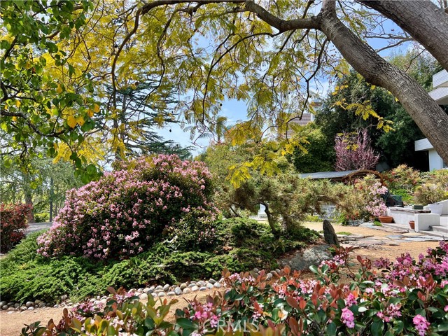 31561 Peppertree, San Juan Capistrano CA: https://media.crmls.org/medias/6f019ef1-b6e9-4d23-9901-adce354604f5.jpg