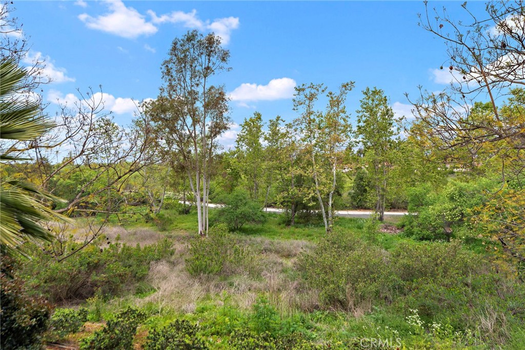 MLS #NP25226079 image #15