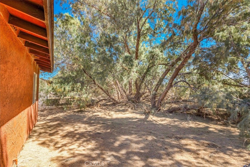 MLS #JT25266553 image #25