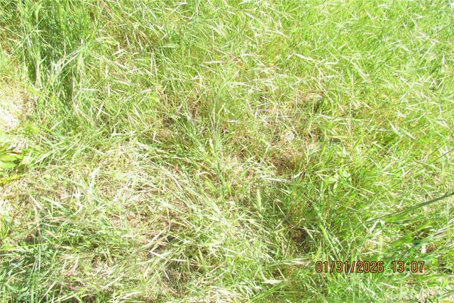 Detail Gallery Image 10 of 51 For 8001 Denivelle Rd., Sunland,  CA 91040 - – Beds | – Baths