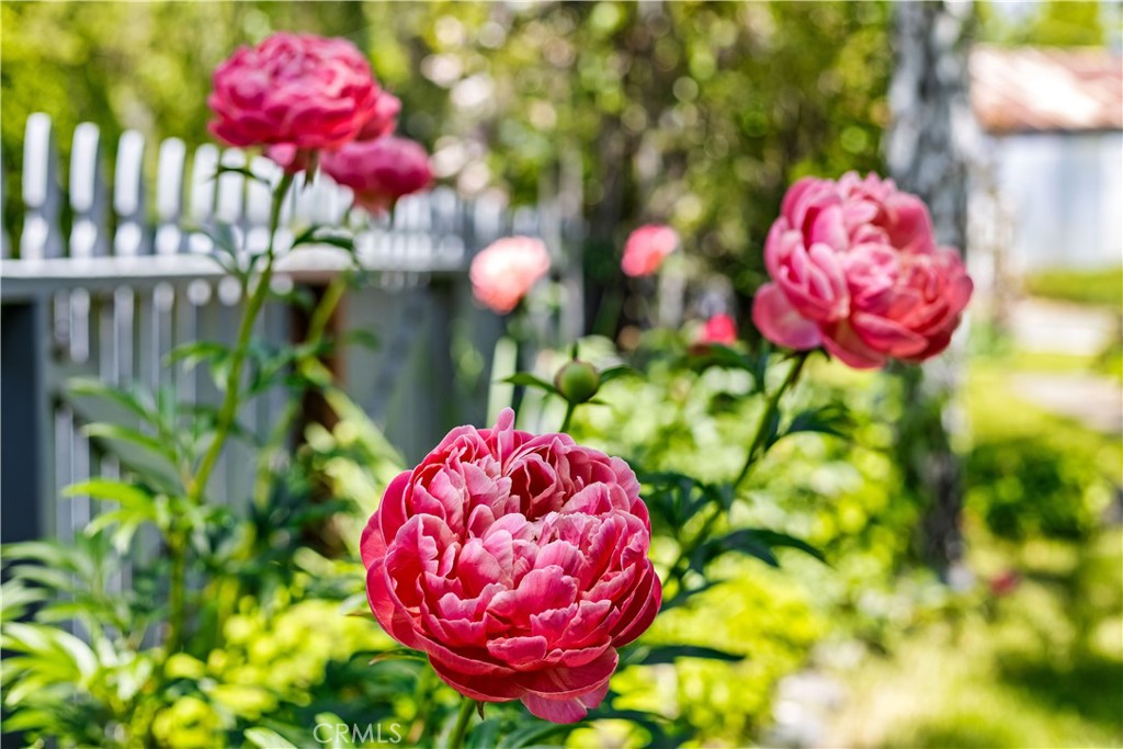 https://media.crmls.org/medias/6f08668f-c6d5-4159-bdc1-813dfed4e2f9.jpg?preset=X-Large
