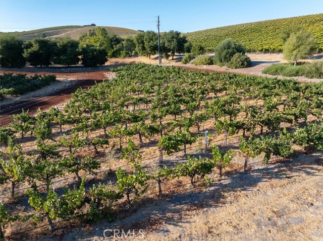 Detail Gallery Image 21 of 65 For 2925 Anderson Rd, Paso Robles,  CA 93446 - 3 Beds | 3/1 Baths