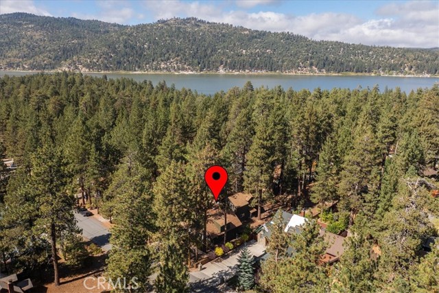 39196 Starview Lane, Big Bear Lake, CA 92315