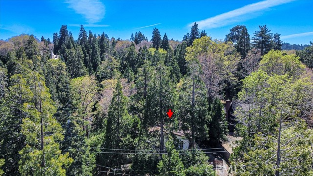 Detail Gallery Image 26 of 27 For 28975 Alder Ter, Cedar Glen,  CA 92321 - 4 Beds | 2 Baths