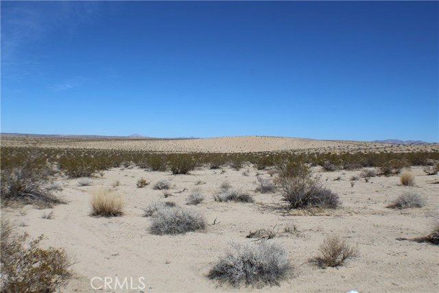 61250 Samarkand, Twentynine Palms, CA, 92277 61250 Samarkand, Twentynine Palms, CA, 92277