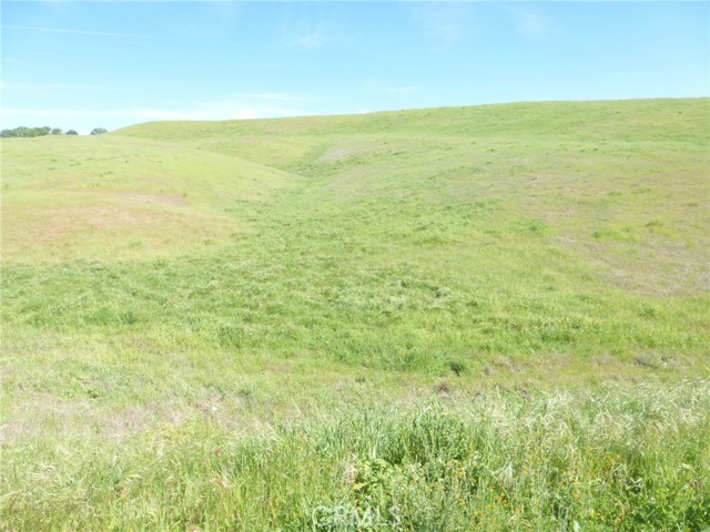 Detail Gallery Image 21 of 40 For 0 Douglas Rd. (Lot 43), San Miguel,  CA 93451 - – Beds | – Baths