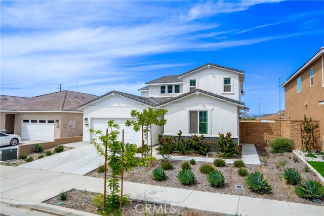 Front Image Thumbnail for CROC26079891