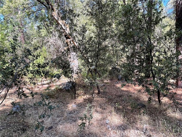 Detail Gallery Image 7 of 19 For 5693 Creel Rd, Mariposa,  CA 95338 - – Beds | – Baths