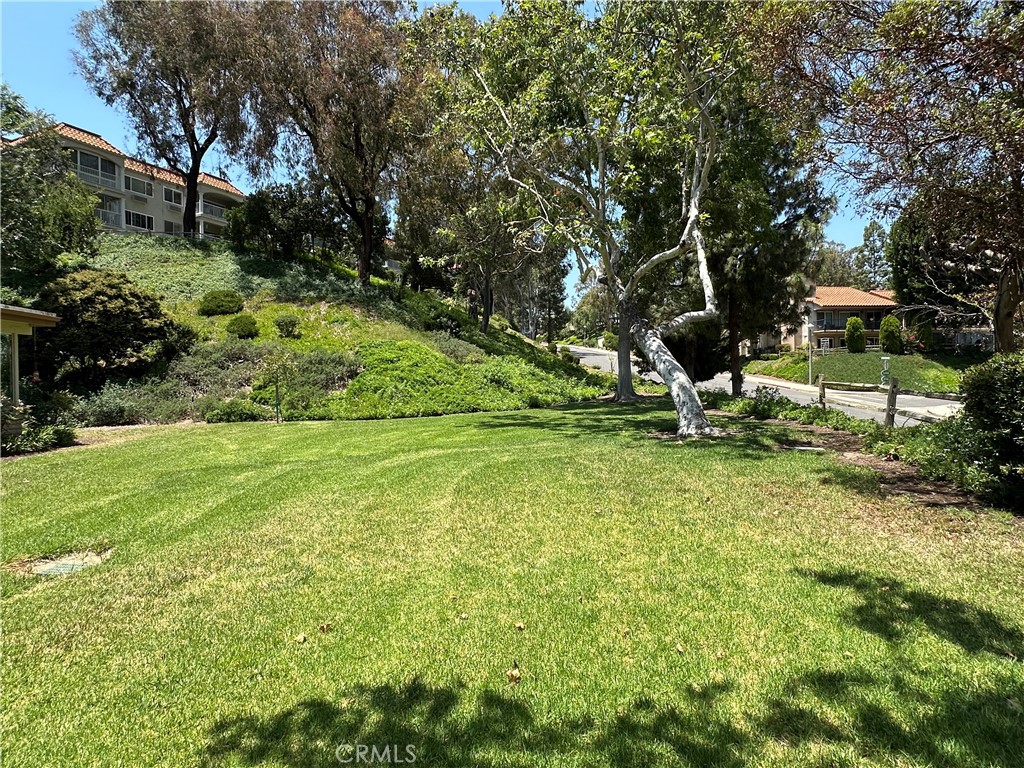 https://media.crmls.org/medias/6f154a8c-35a3-467c-8609-b962dfceaec8.jpg?preset=X-Large