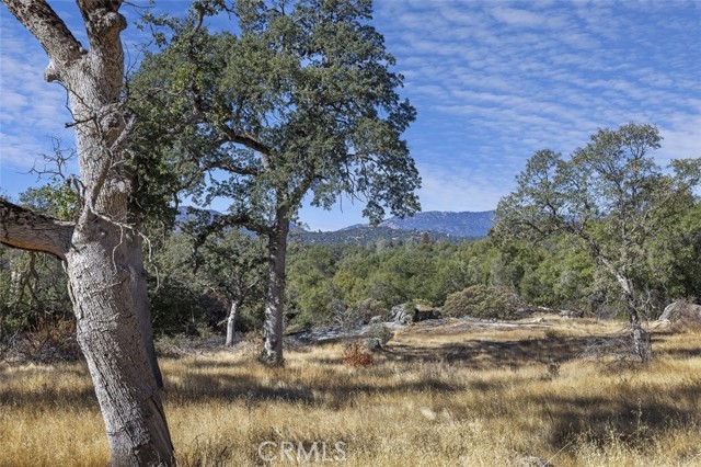 Detail Gallery Image 9 of 16 For 0 39.29 Ac Village Dr, Oakhurst,  CA 93644 - – Beds | – Baths