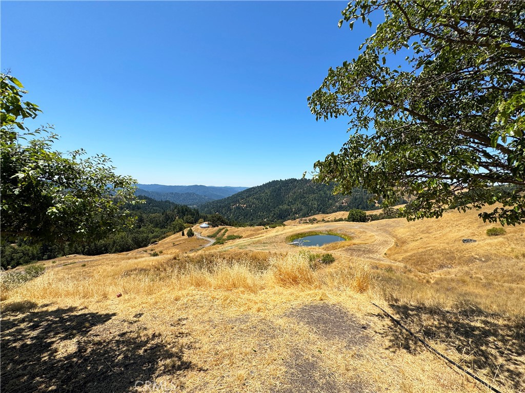 https://media.crmls.org/medias/6f1da2ac-afe1-4a66-8b42-7279f366213f.jpg?preset=X-Large