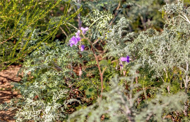 Detail Gallery Image 22 of 52 For 2 Decker Canyon Road, Ortega Mountain,  CA 92530 - – Beds | – Baths