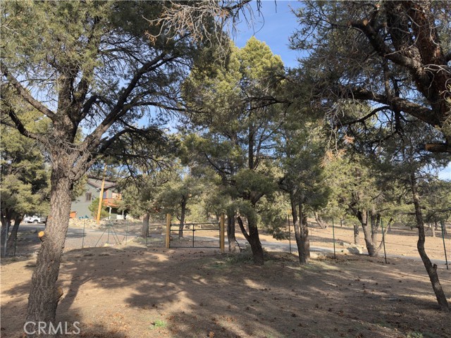 Detail Gallery Image 26 of 31 For 1820 Golden Rod, Big Bear City,  CA 92314 - – Beds | – Baths