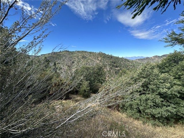 Detail Gallery Image 6 of 7 For 1500 Edgecliff Dr, Lake Arrowhead,  CA 92352 - – Beds | – Baths