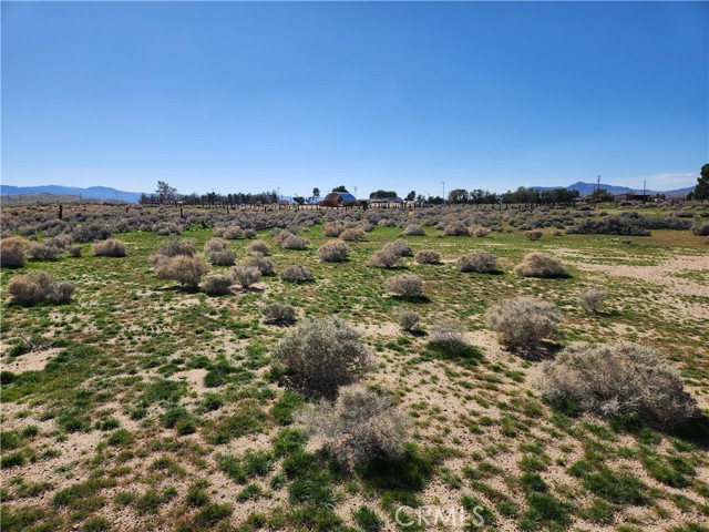 Detail Gallery Image 6 of 20 For 0 Yucca Rd, Newberry Springs,  CA 92365 - – Beds | – Baths