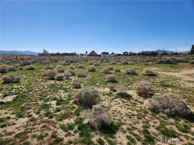 Detail Gallery Image 6 of 20 For 0 Yucca Rd, Newberry Springs,  CA 92365 - – Beds | – Baths