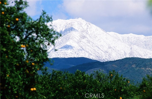 6f2e49c3 169e 4bc3 8139 8fd96d295d73