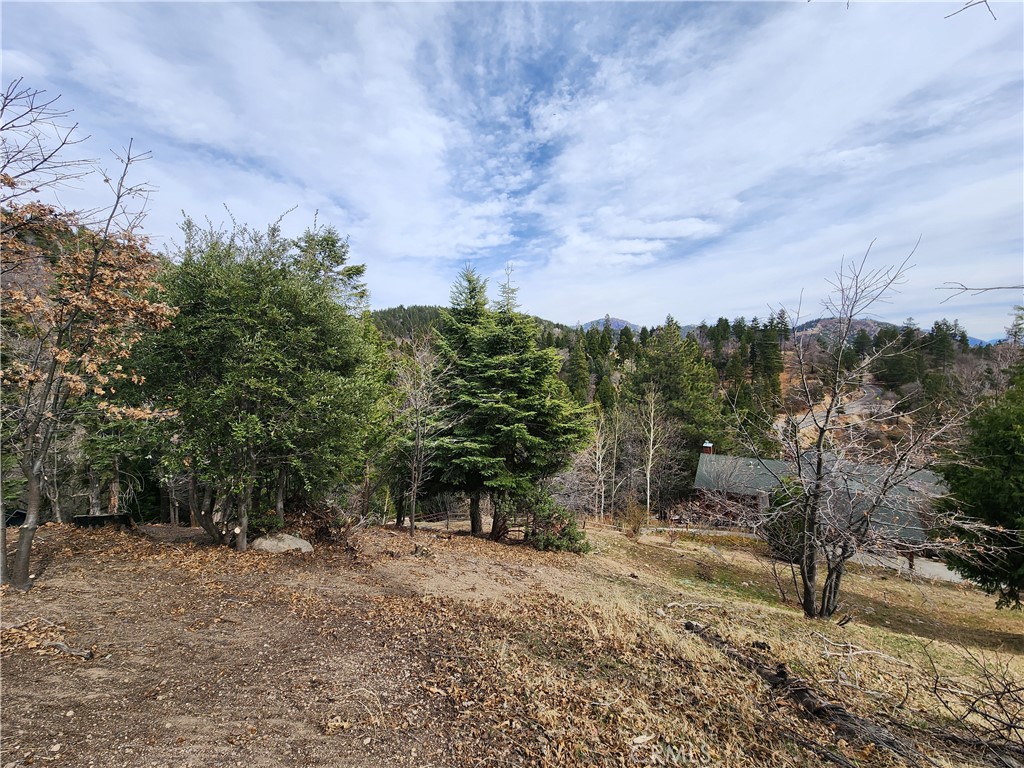 MLS #IG25045374 image #26