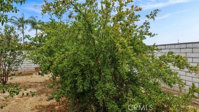 13067 Alexis Drive, Moreno Valley CA: https://media.crmls.org/medias/6f309823-1af6-4f98-abee-6dd086799f60.jpg