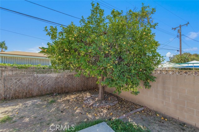 1334 Ardilla Avenue photo 36