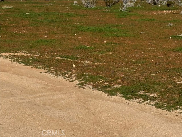 Front Image Thumbnail for CRHD26011901