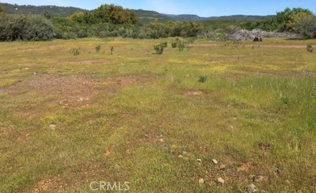 Front Image Thumbnail for CRND26226363