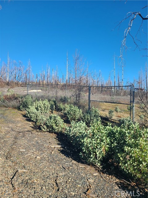 Detail Gallery Image 2 of 10 For 81 Green Cedar, Berry Creek,  CA 95916 - – Beds | – Baths