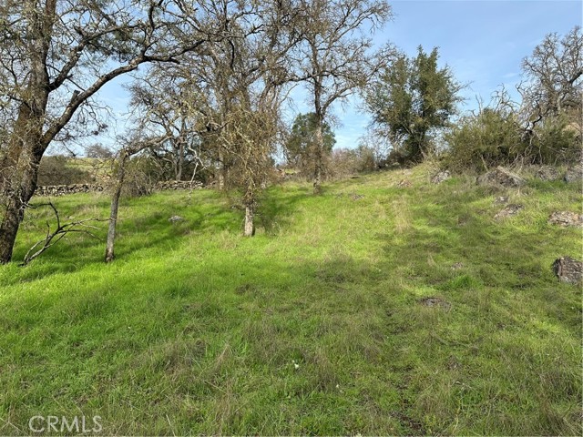 Detail Gallery Image 10 of 18 For 3224 Silver Bush Pl, Catheys Valley,  CA 95306 - – Beds | – Baths