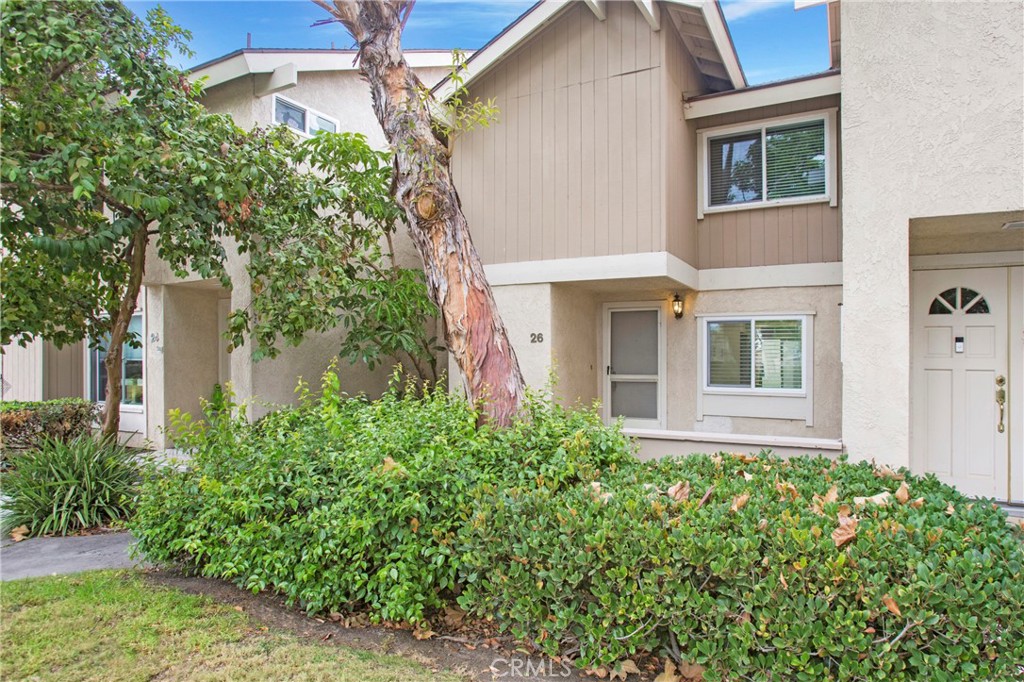 26 Silverwood #12