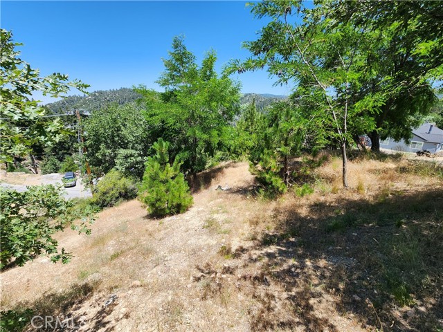 Detail Gallery Image 5 of 30 For 31912 Encina Way, Running Springs,  CA 92382 - – Beds | – Baths