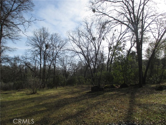 15 Hide A Way Road, Oroville CA: https://media.crmls.org/medias/6f532df2-7022-4bd7-96e4-3aa333cf09cb.jpg