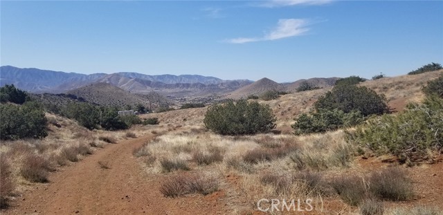 0 Rolandee Street, Acton CA: https://media.crmls.org/medias/6f5b13c2-ea7d-4b6e-aac1-f1fe1ab5b196.jpg