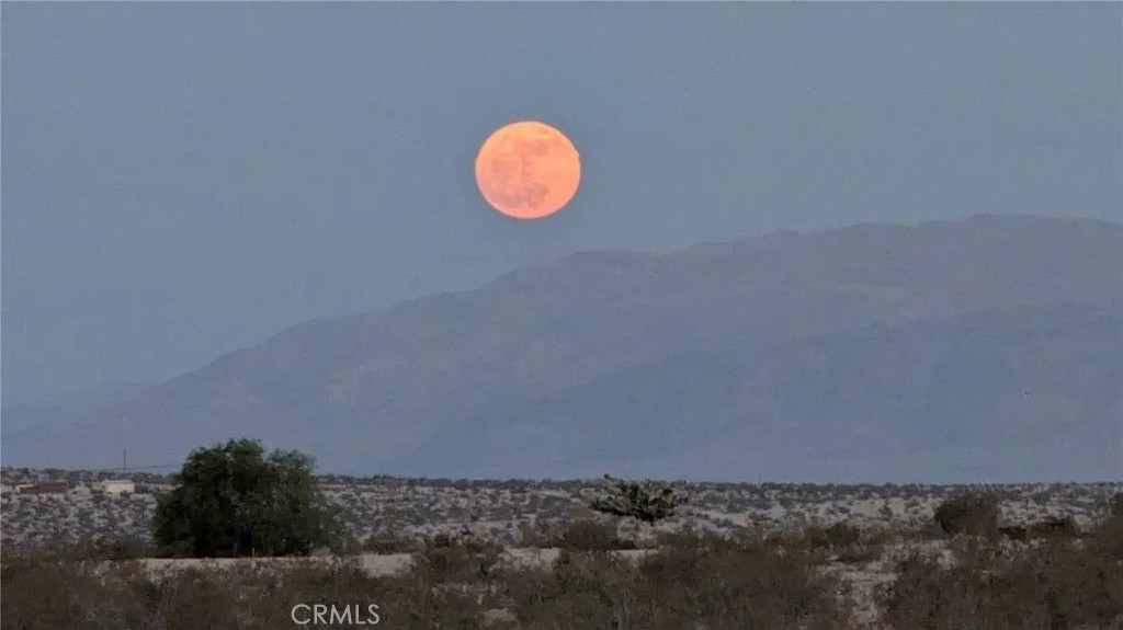 MLS #OC25279969 image #4