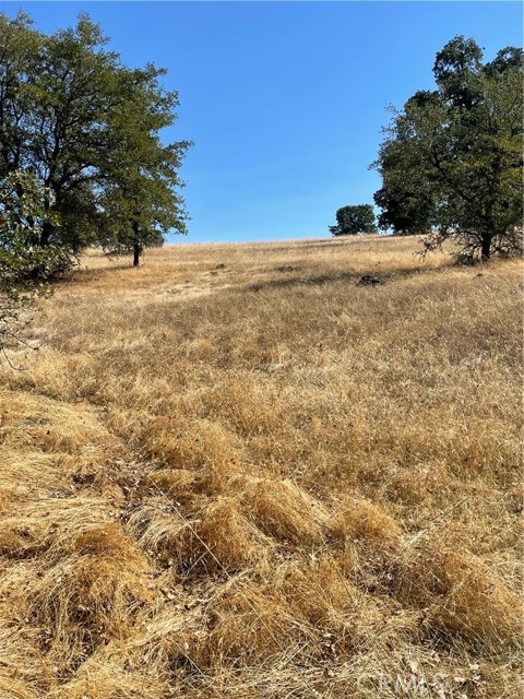 Detail Gallery Image 10 of 17 For 0 Bryden Way, Oroville,  CA 95966 - – Beds | – Baths