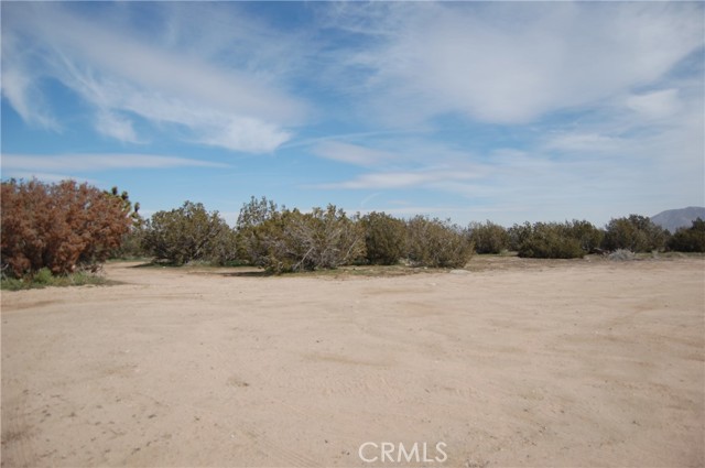 17111 Ranchero, Hesperia CA: https://media.crmls.org/medias/6f65f7df-00c9-40bf-a6bf-6c234f5cb352.jpg