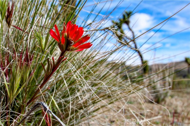 Detail Gallery Image 13 of 32 For 26 Vista Rd, Pioneertown,  CA 92356 - – Beds | – Baths