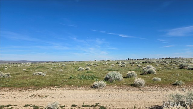 Detail Gallery Image 19 of 39 For 0 Avenue B-8 Vicinity 265th St W, –,  CA 93536 - – Beds | – Baths