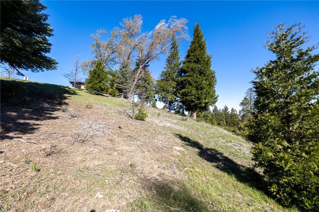 MLS #RW24172278 image #7