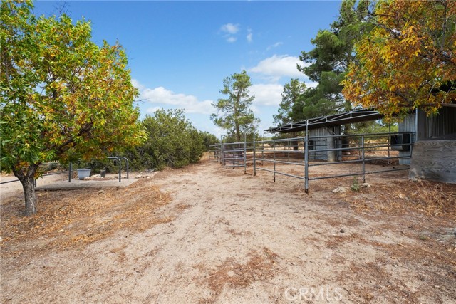 Detail Gallery Image 28 of 41 For 9880 Ponderosa Rd, Pinon Hills,  CA 92372 - 2 Beds | 2 Baths