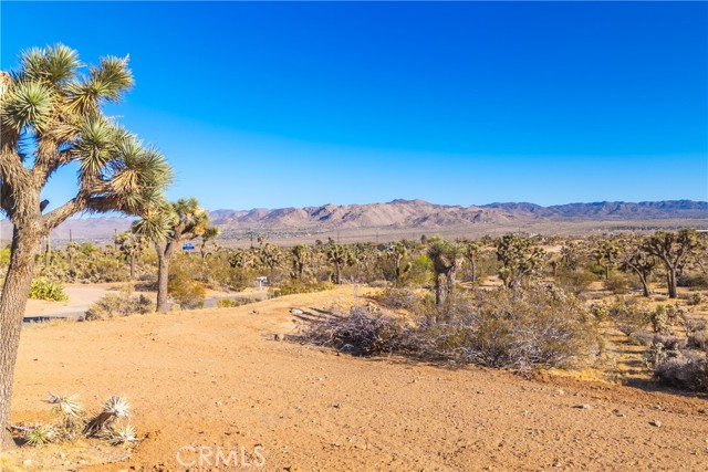 Detail Gallery Image 45 of 75 For 58871 Meredith Ct, Yucca Valley,  CA 92284 - 3 Beds | 2 Baths