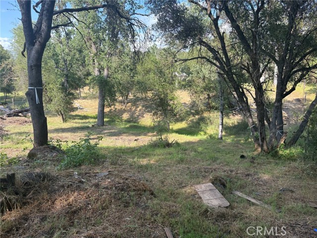 Detail Gallery Image 7 of 10 For 0 Chickasaw Rd, Coarsegold,  CA 93614 - – Beds | – Baths