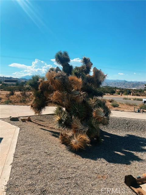 57731 Lisbon Drive, Yucca Valley, CA, 92284 57731 Lisbon Drive, Yucca Valley, CA, 92284
