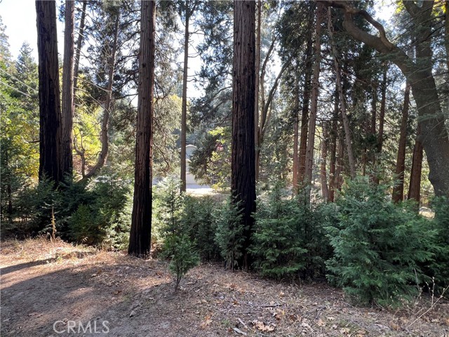 Detail Gallery Image 43 of 44 For 386 Garden Dr, Cedarpines Park,  CA 92322 - 5 Beds | 3 Baths