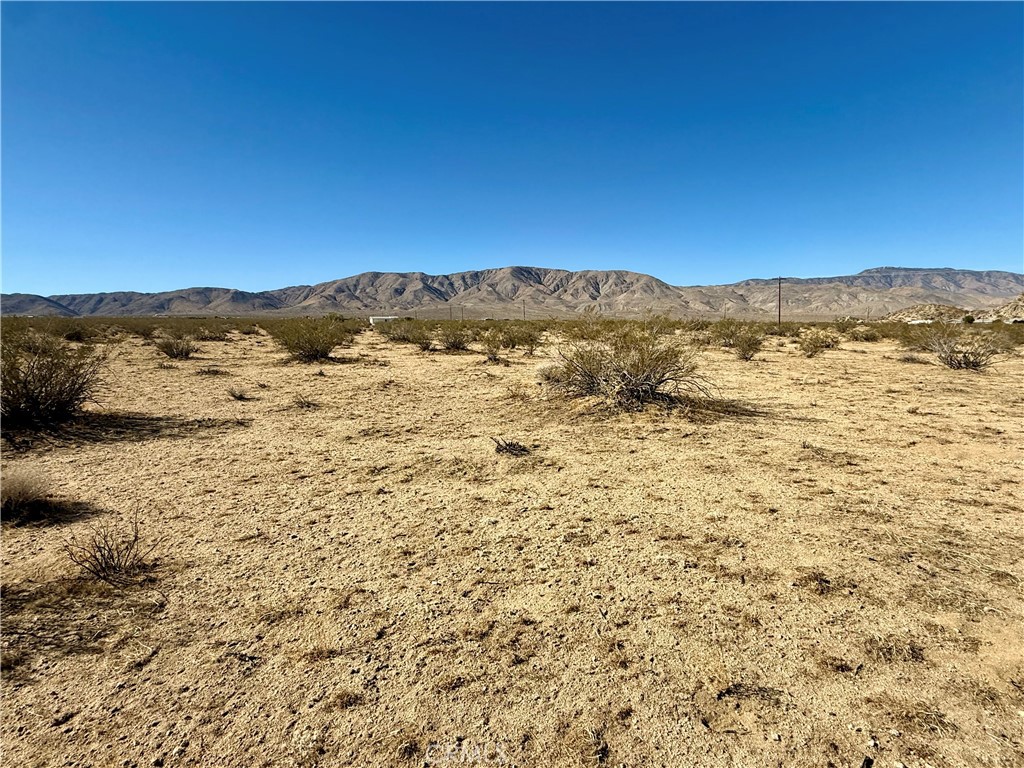 MLS #JT25208342 image #10