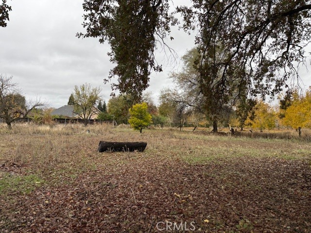 Detail Gallery Image 6 of 19 For 197 White Rd, Red Bluff,  CA 96080 - 5 Beds | 3 Baths