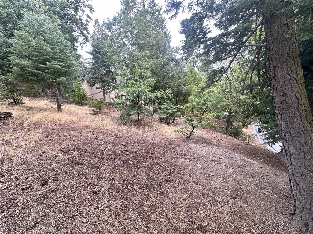 https://media.crmls.org/medias/6f8e3183-09c8-4355-b86d-5193035d8bae.jpg?preset=X-Large