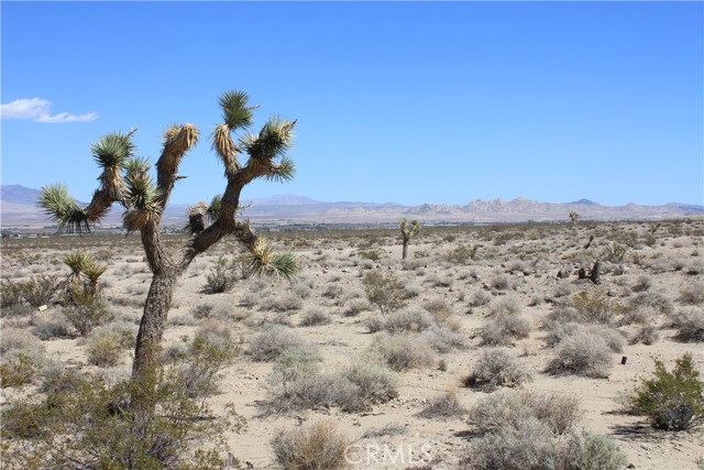 Detail Gallery Image 39 of 71 For 769 Meridian Rd, Lucerne Valley,  CA 92356 - – Beds | – Baths