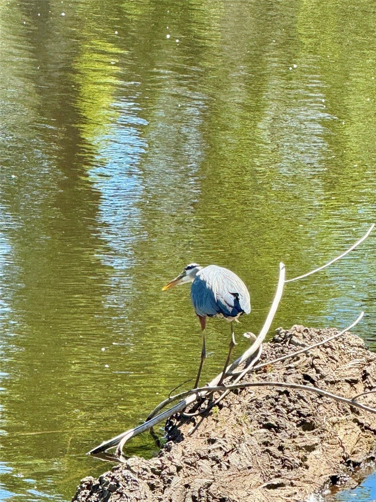 https://media.crmls.org/medias/6f8eb4af-d908-47ef-ae43-6939a4e67551.jpg?preset=X-Large
